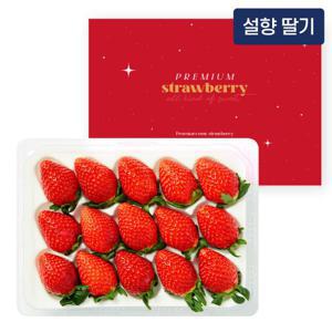 [11월 26일부터 순차출고] 고당도 설향 딸기 400g(15과)