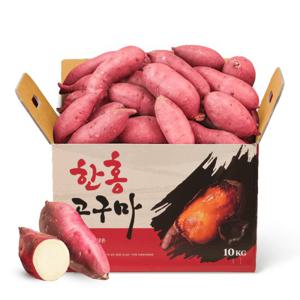 [맛젤] 황토 단밤고구마 특대사이즈 10kg (280g이상)