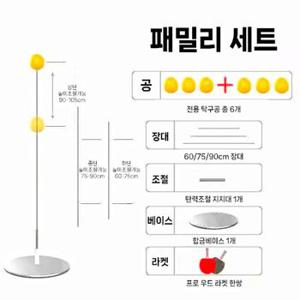 탁구 연습기 셀프 핑퐁 놀이 혼자하는 실내 스윙