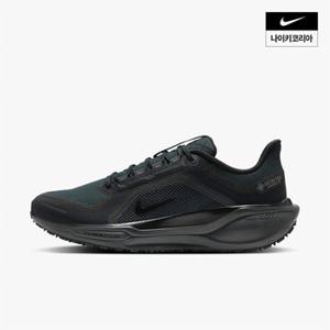 맨즈 나이키 페가수스 41 GORE-TEX NIKE FQ1356-001