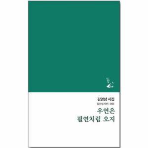 우연은 필연처럼 오지 - 달아실시선 83