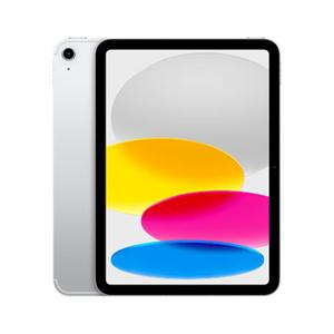 Apple 아이패드 10세대 Wi-Fi 256GB - 실버 [MPQ83KH/A]