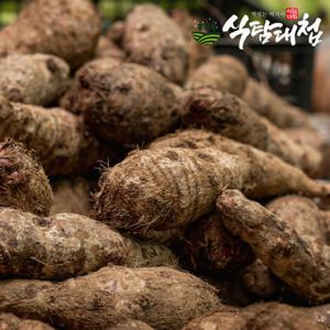 식탐대첩 국내산 곡성 생토란 3kg(특/상품)