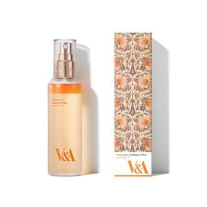 V&A 안티옥시던트 래디언스 미스트 100mL [1+1]