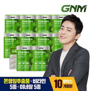 GNM 징코빌로바11 10박스 / 은행잎추출물 비타민B 아연 판토텐산