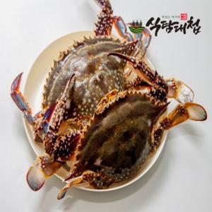 서해안 연평도 암꽃게 3kg (9-15미) 급냉