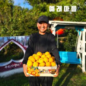 갤러리아_예래마을 제주 서귀포 노지 감귤 10kg 로얄과