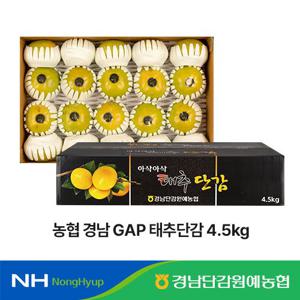 [농협] 경남 태추단감 4.5kg (18~25과)