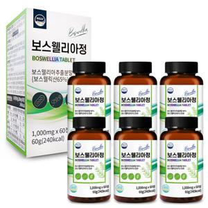 웰리즈 보스웰리아정 1000mg x 60정 5개 10개월분