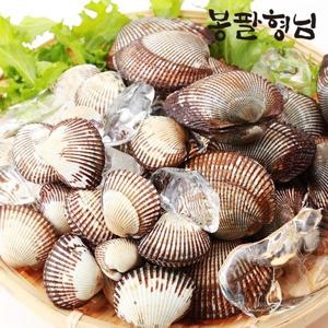 당일채취 피꼬막 (특품) 2kg 햇 피조개 꼬막