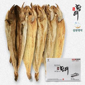 [산지직송/용대리]하늘내린 황태포 5미(42cm-44cm)