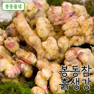 [봉동들녘]국내산 봉동참 흙생강 1kg