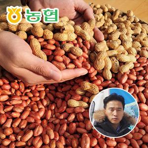 [맛꾼품질보장] 대성농협 24년 국내산 햇 생땅콩 2kg (1kg x 2봉)