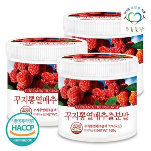 [푸른들판] 국산 꾸지뽕 열매 추출 추출물 분말 가루 haccp 인증 160gx3통