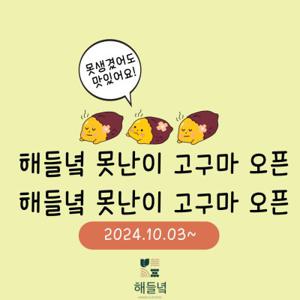 못난이 해들녘 고창 무농약 꿀고구마 5kg 10kg (왕/특/상/중)