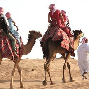 선셋 사막 사파리, 샌드 보딩, 낙타 타기, 내해 투어 (도하)