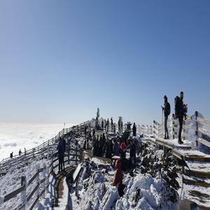 [제주/애월] 한라산 눈꽃 트레킹 장비대여 (1박2일)