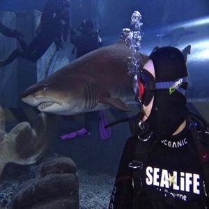 씨 라이프 멜버른 아쿠아리움 입장권 [Sealife Aquarium] (멜버른)