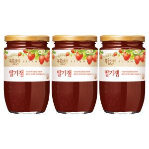 복음자리 딸기잼, 500g, 3개