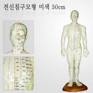 전신 침구모형 미색 약50cm (동인형/인체모형/경혈/혈자리)