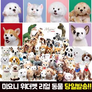 동물인형 대형 리얼 미요니 위더펫 강아지 고양이 토끼 돼지 판다 사자 비숑 공룡 포켓몬 미니펫 곰 인형