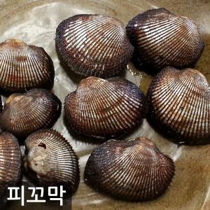 벌교피꼬막2kg(상품/특품)/피고막/꼬막 당일바리