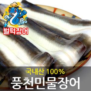 벌떡장어 국내산 풍천 민물장어 1kg 생강1/소스2/야채(시기따라상이) 간편음식캠핑