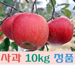 (팔공산농원) 사과(부사) 10kg 정품