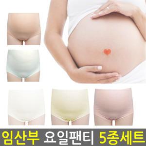 임부 요일팬티 임부속옷 임산부팬티 면팬티 임부팬티