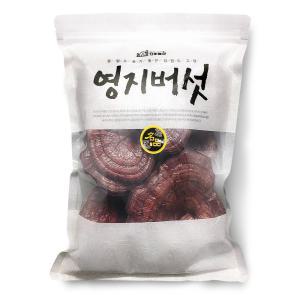 영지버섯 1kg (국산 100%) 실속형 지퍼백포장