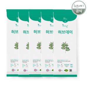 허브데이 생리대 대형5팩 _50p