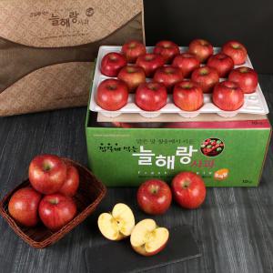 청송꿀사과 고당도 얼음골 부사 10kg 5kg