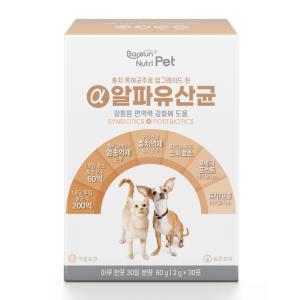 바른뉴트리펫 알파유산균 강아지 고양이 60억 생균 충치억제 소화효소 4세대 포스트바이오틱스 면역