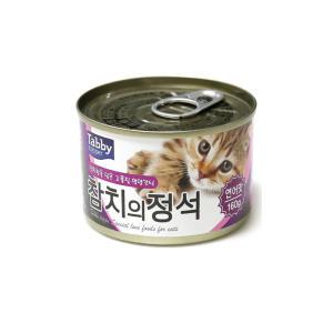 태비 참치의정석 연어맛 160g x 24개