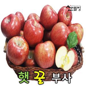 경북사과 햇 꿀 부사 사과10kg (41~46과 내외) 가정용 / 산들정