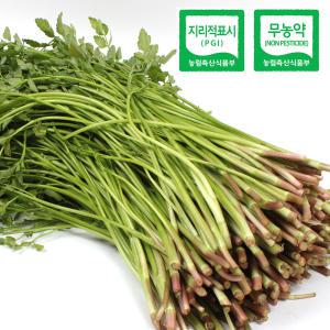 무농약 청도 한재미나리 1kg (봉)