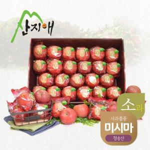 [기타]산지애 씻어나온 어린이 꿀사과 5kg 1box / 봉지 세척사과 , 당도선별 12brix