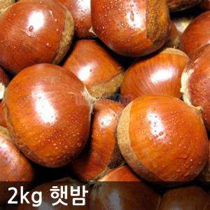 2024 햇밤(대) 2kg/3kg 깐밤가능 공주부여 알밤 /하양마트