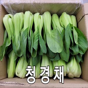 청경채 국내산 청경채 못난이 상 4kg 1박스 야채맘