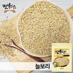 2024년 늘보리쌀 보리쌀 옛날보리쌀 국내산  20kg 마대포장