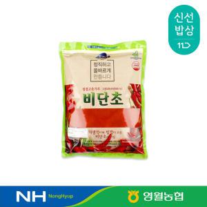 [영월농협] 24년 비단초 햇 고춧가루 500g 1kg 태양초