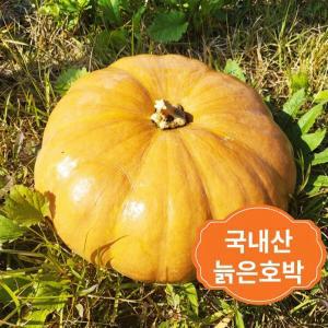 맷돌 늙은호박 호박죽 3kg~6kg이상