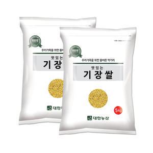 수입 기장쌀 10kg (5kgx2) / 좁쌀 잡곡 안전박스포장