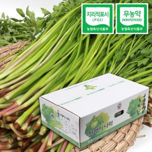 무농약 청도 한재미나리 4kg (벌크)