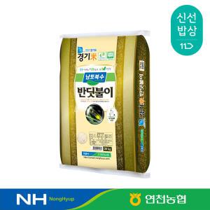 [연천농협] 24년산 남토북수 반딧불이쌀 특등급 20kg 단일품종