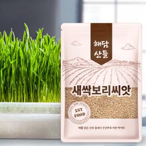 국산 새싹 보리 씨앗 500g x 2봉 l 겉보리 키우기 l 지퍼팩 소포장