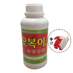 유황규산 오복이 1L 수용성 유황 유기농 액상 영양제 비료 고추