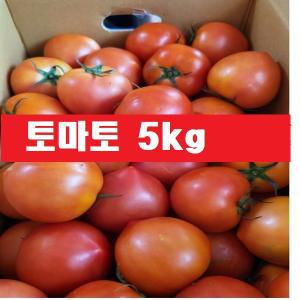 토마토 5kg(정품 )국네산/주스용아님/정품