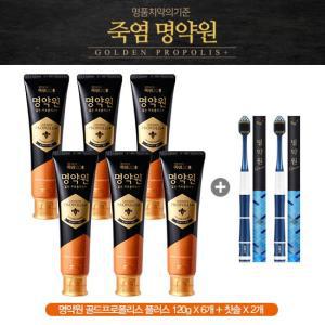 LG생활건강 명약원 골든프로폴리스 치약 120g 6개 + 칫솔 2개