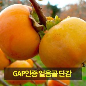 [st푸른농원]GAP인증 밀양 얼음골 단감(10kg 54~60과)